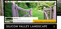 Featured website - Silicon Valley Landscape